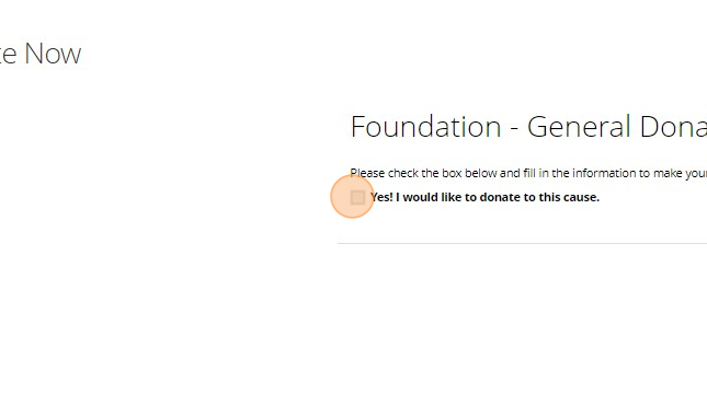 How to Donate to the Foundation - Step 2